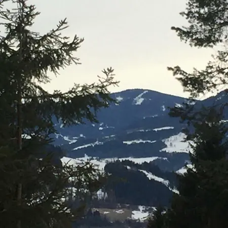 Almfrieden Holiday home *